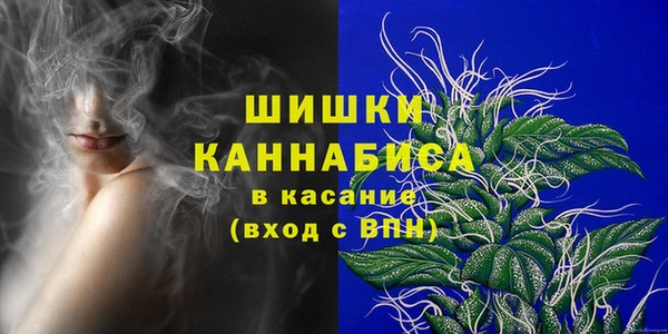сатива Армянск
