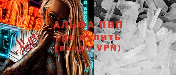 сатива Армянск