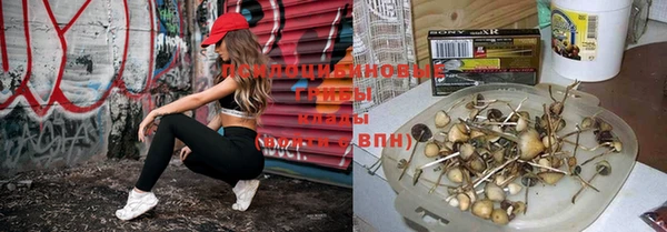mix Арсеньев