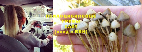 mix Арсеньев